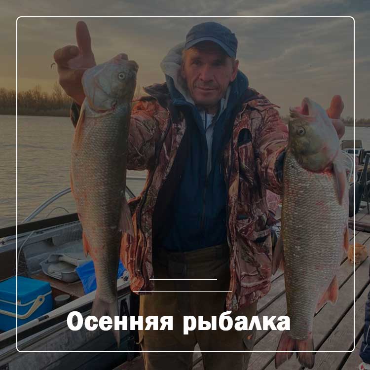 Осенняя рыбалка в Астраханской области на турбазе